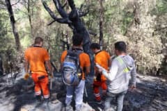 Adana Kozan’da yanan orman alanında ağaçlandırma ve ağaç damgalama çalışmaları yapılıyor