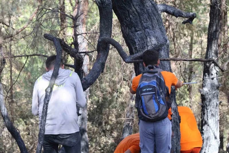 Adana’nın Kozan ilçesinde 8 Eylül’de başlayıp 3 gün süren ve İmamoğlu ilçesine de yayılan Orman yangınının ardından, yak