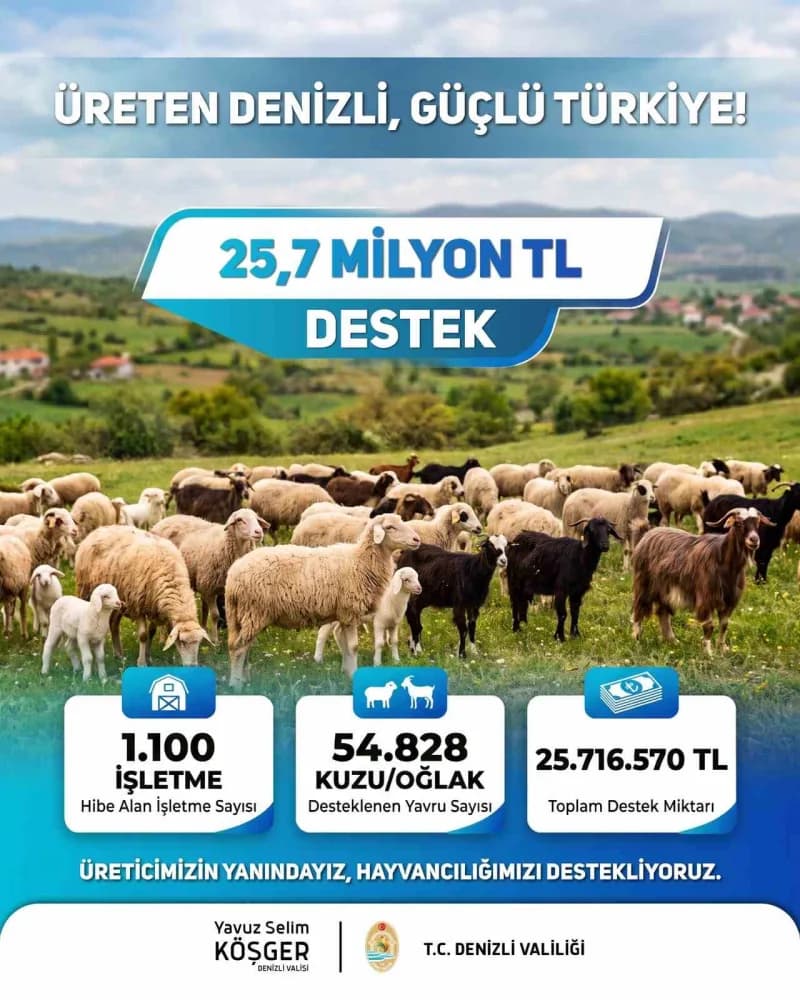 Denizli'de küçükbaş hayvancılık yapan üreticilere verilen maddi destek