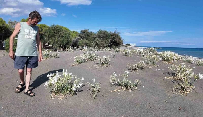 Eskişehir'den Mersin'e kampa gelenlerden Murat Çulha, " Etrafımız kum zambaklarıyla dolu, güzel bir ortam. Tam da zambak
