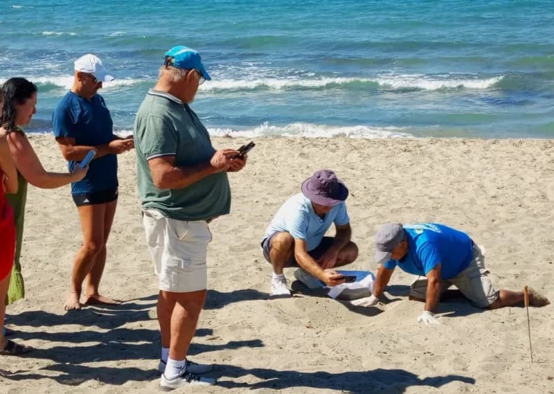 Kuşadası’nda sel sularının altında kalan alanda sürpriz şekilde tespit edilen caretta caretta yuvasından 67 yavru çıktı.