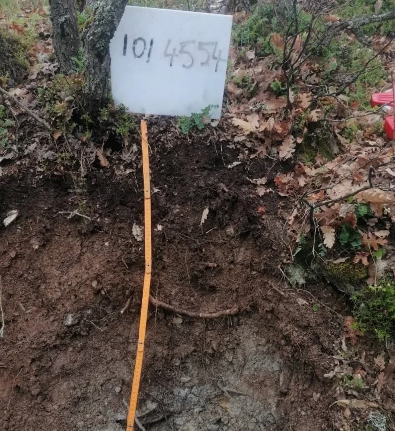 Kütahya’da Ulusal Orman Envanteri çalışmaları tamamlandı