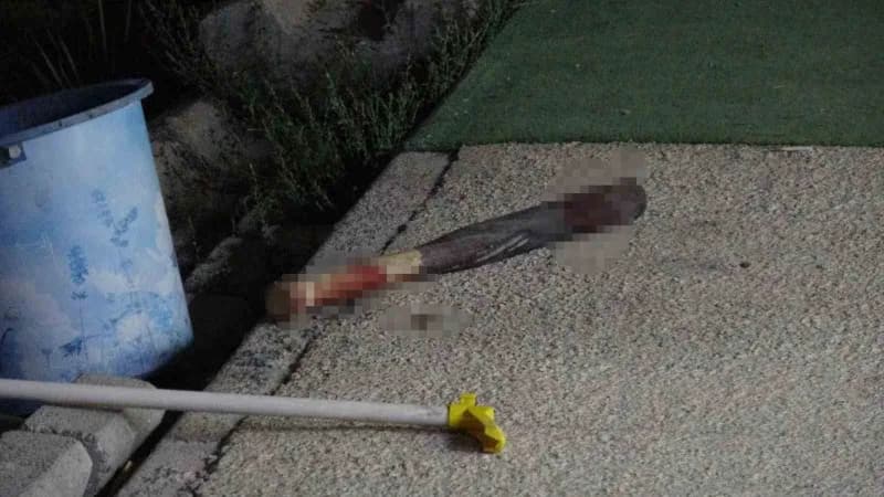 Malatya'da iki esnaf arasında araç park yeri meselesi nedeniyle çıkan bıçaklı ve beyzbol sopalı kavgada 4 kişi yaralandı