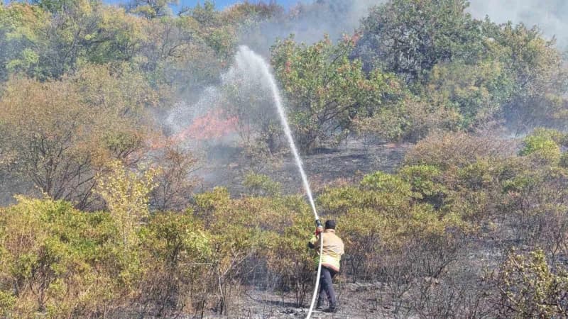 Manisa’nın Demirci ilçesinde yol kenarında başlayan ve ormanlık alana sıçrayan yangın, ekiplerin 1 saatlik yoğun mücadel