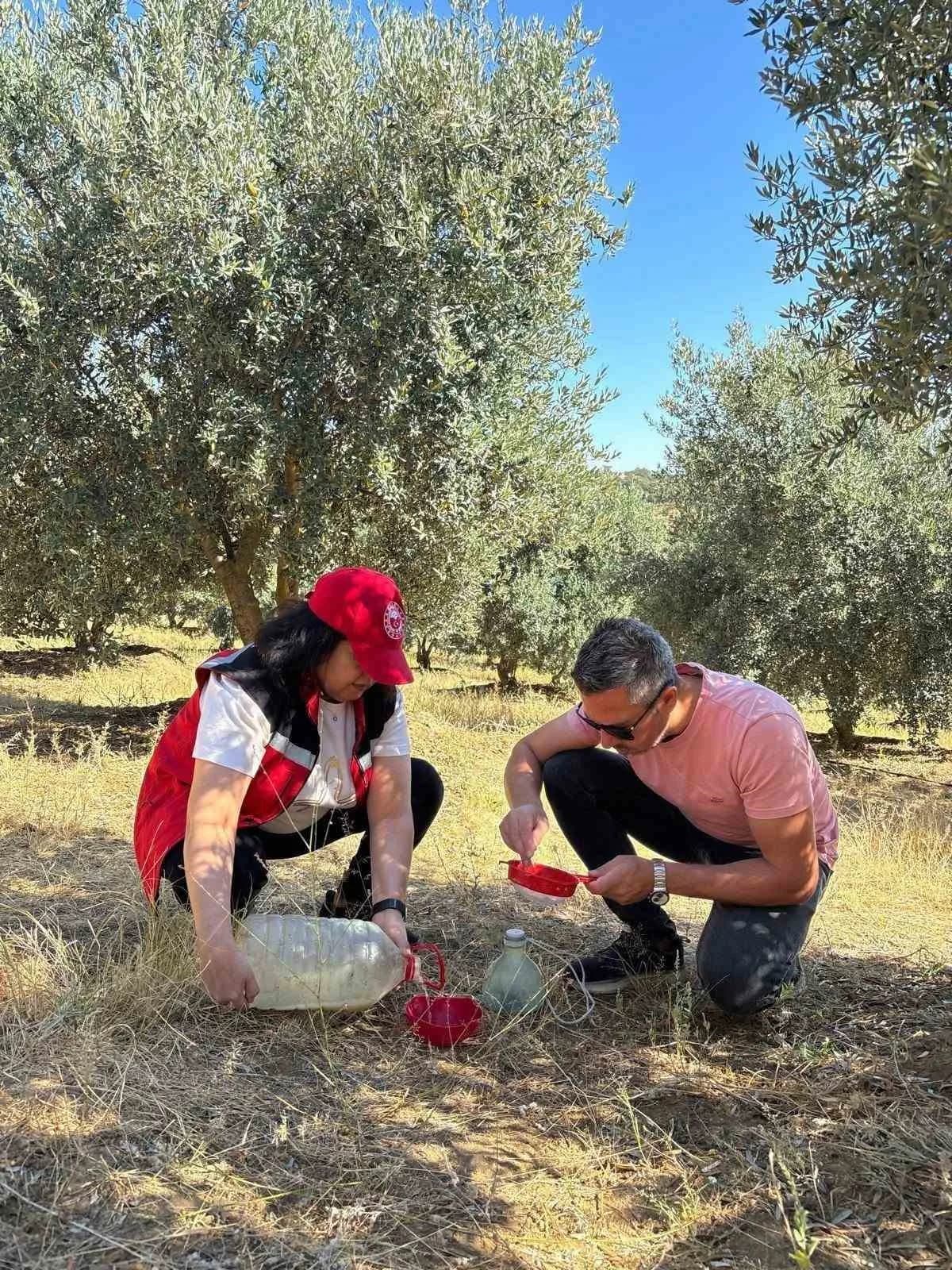 Manisa’nın Salihli ilçesinde zeytin üreticileri, zeytin sineğine karşı mücadele konusunda uyarıldı.