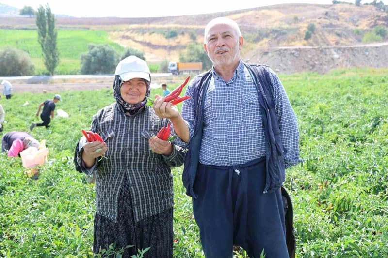 Tarlada çalışan Hacer ve selehattin Derebeyi