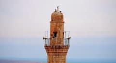 Mardin’de işaret dili eğitimi alan kamu personeli işitme engelliler için türküyü işaret diliyle seslendiriyor