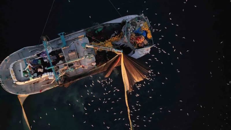 Martıların Balıkçı teknelerini takip ettiği anlar drone ile havadan görüntülendi.