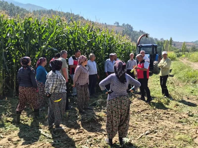 Menteşe’de üreticilere silajlık mısır eğitimi verildi