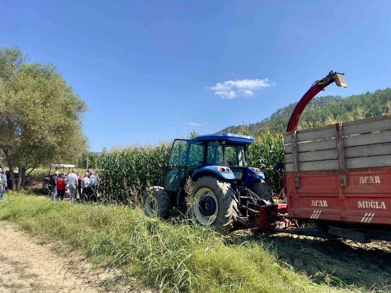 Menteşe’de üreticilere silajlık mısır eğitimi verildi