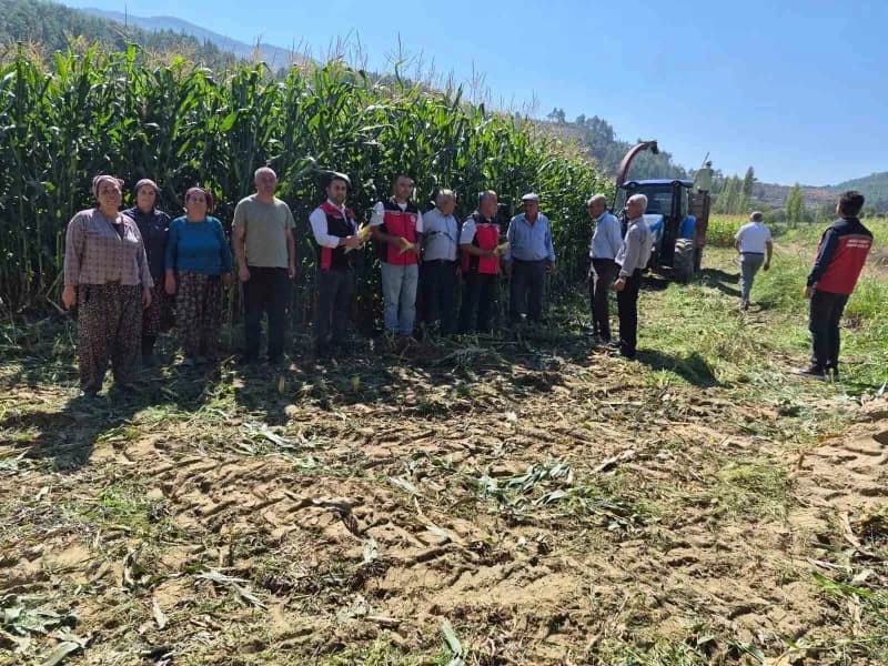 Menteşe’de üreticilere silajlık mısır eğitimi verildi