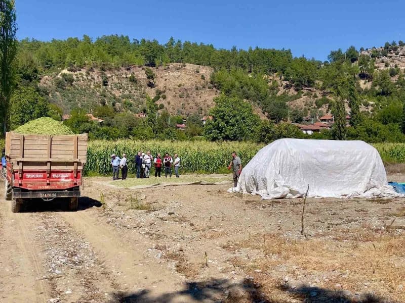 Menteşe’de üreticilere silajlık mısır eğitimi verildi