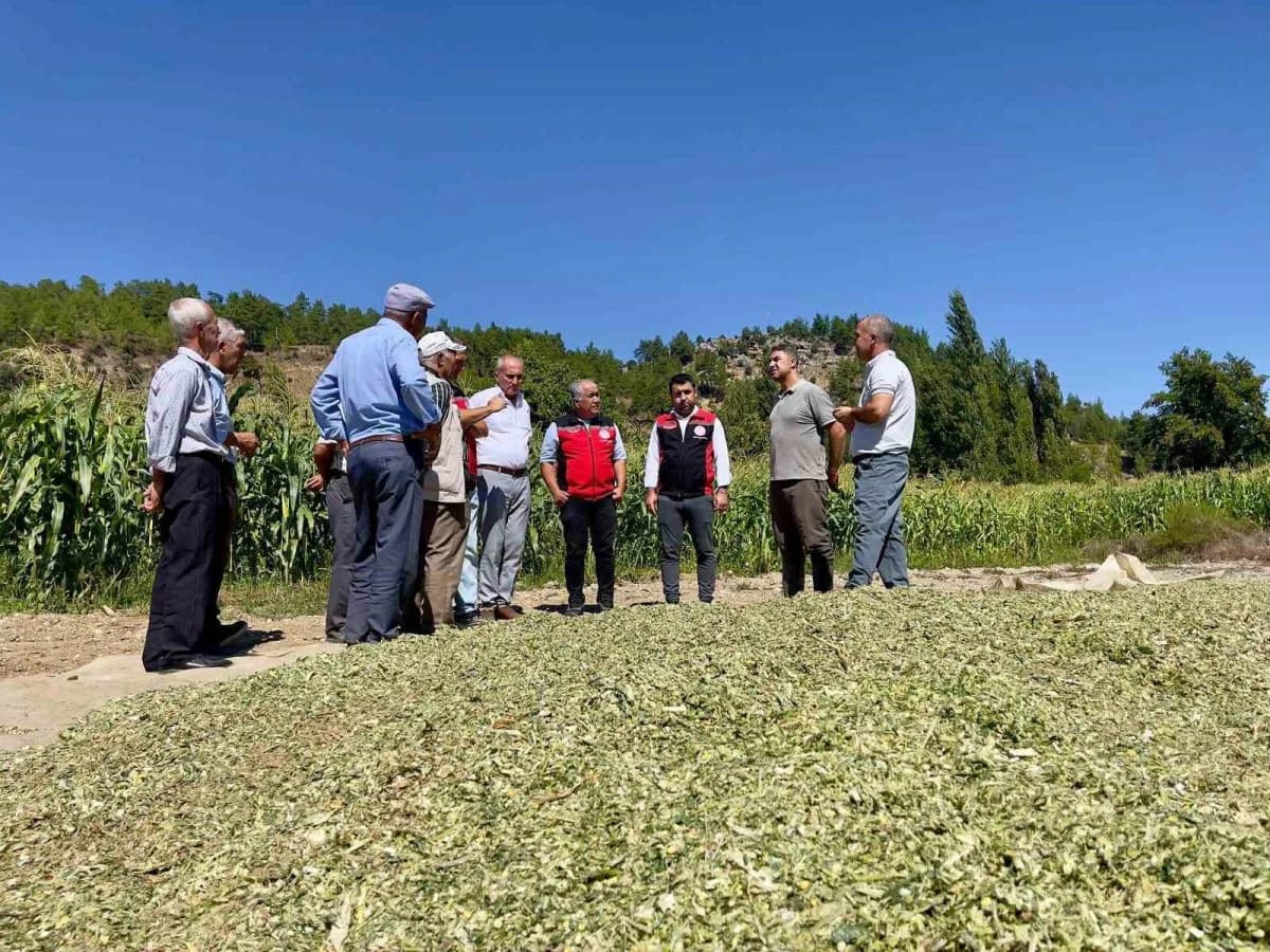 Menteşe’de üreticilere silajlık mısır eğitimi verildi