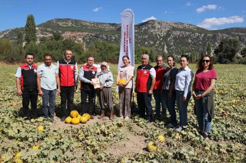 Menteşe’de yayla kavunu ve Ata sebzelerinin hasadı yapıldı