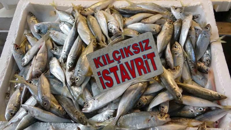 Akdeniz'de av yasağının sona ermesinin ardından Mersin'de balıkçıların ağlarına takılan çeşitli balıklar tezgahlardaki y