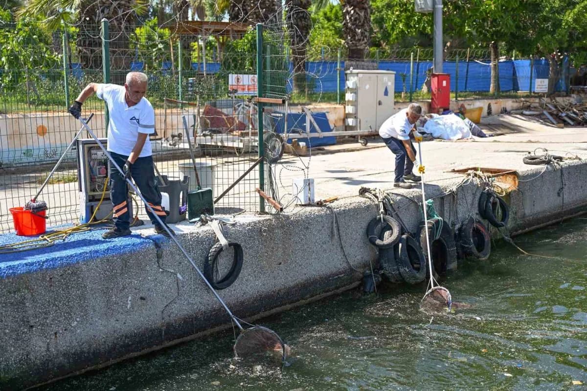 Mersin kıyılarında deniz temizliği yapan ekipler ve deniz süpürgesi görüntüsü