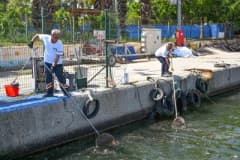Mersin kıyılarında deniz temizliği yapan ekipler ve deniz süpürgesi görüntüsü