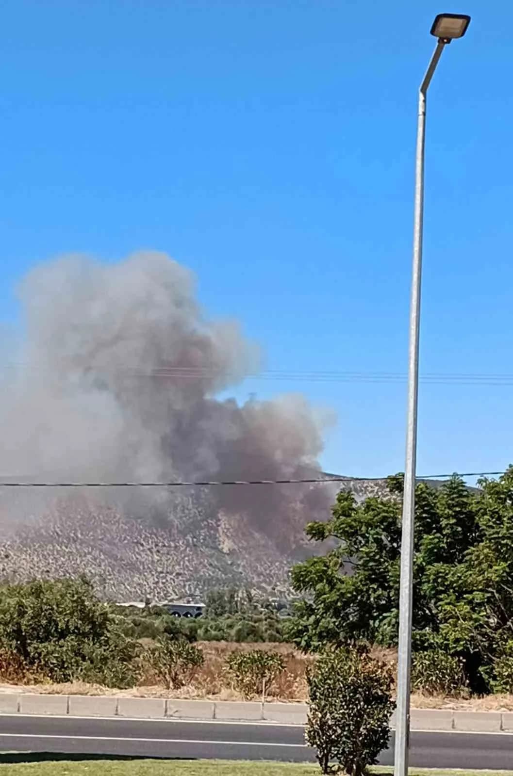 Muğla’nın Milas ilçesi Yaşyer Mahallesinde sazlık ve otluk alanda başlayan yangın sonrası bölgeye çok sayıda ekip sevk e