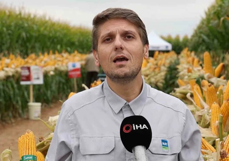 MAY Tohum Ayçiçeği Ürün ve Mısır Teknik Müdürü Burak Uğur açıklama yaptı