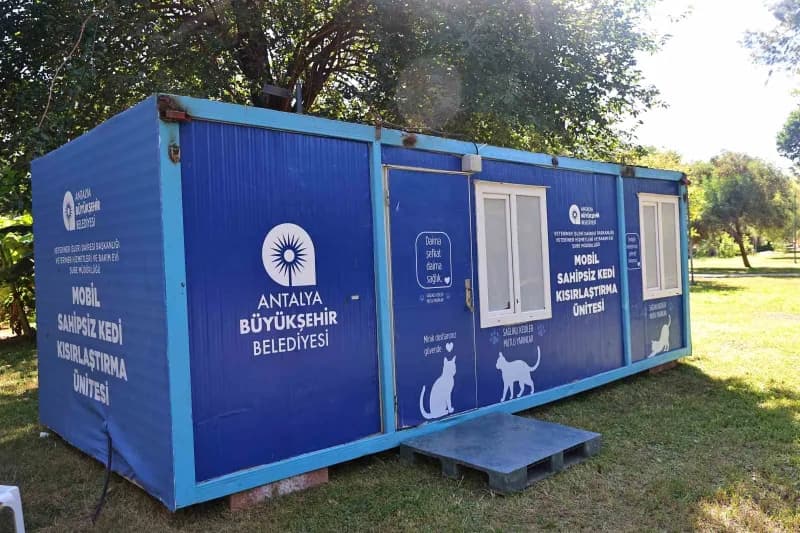 Antalya Büyükşehir Belediyesi’nin Sahipsiz kedilere yönelik hizmet veren Mobil Kısırlaştırma Ünitesi, Beach Park ve AKM