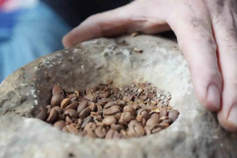 Muş’ta unutulmaya yüz tutmuş geleneksel bir kahve hazırlama yöntemi yeniden yaşatılıyor. Kahve çeşitleri, yörede "Soku t