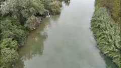 Mustafakemalpaşa Çayı kıyısında biriken ölü balıklar ve suya deşarj yapılan boru