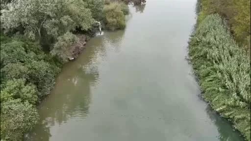 Mustafakemalpaşa Çayı kıyısında biriken ölü balıklar ve suya deşarj yapılan boru