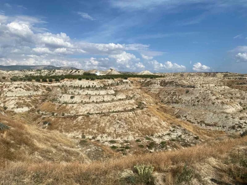 Mut Orman işletme Müdürlüğü sorumluluk alanında, Orman köylülerinin kalkınmasına katkı sağlamak amacıyla 475 hektar alan