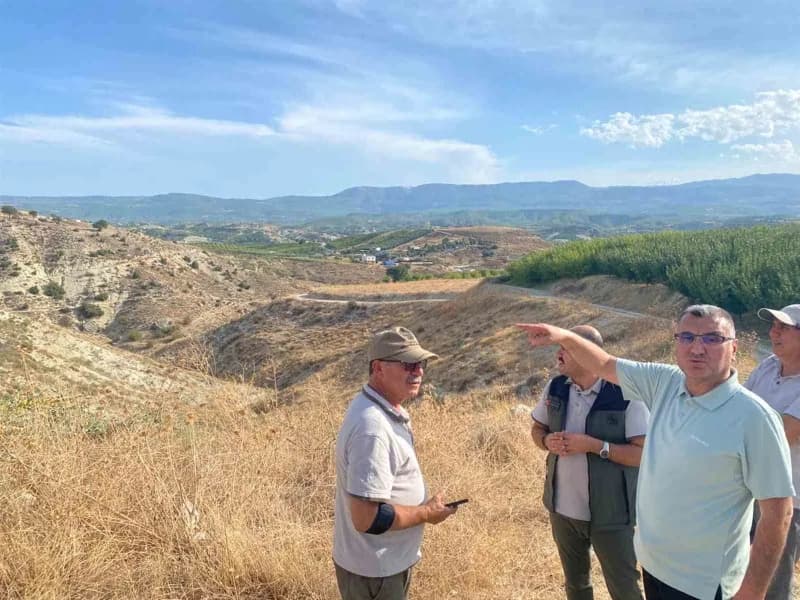 Mersin Mut ilçesinde orman köylülerine destek amacıyla dikilen zeytin fidanları