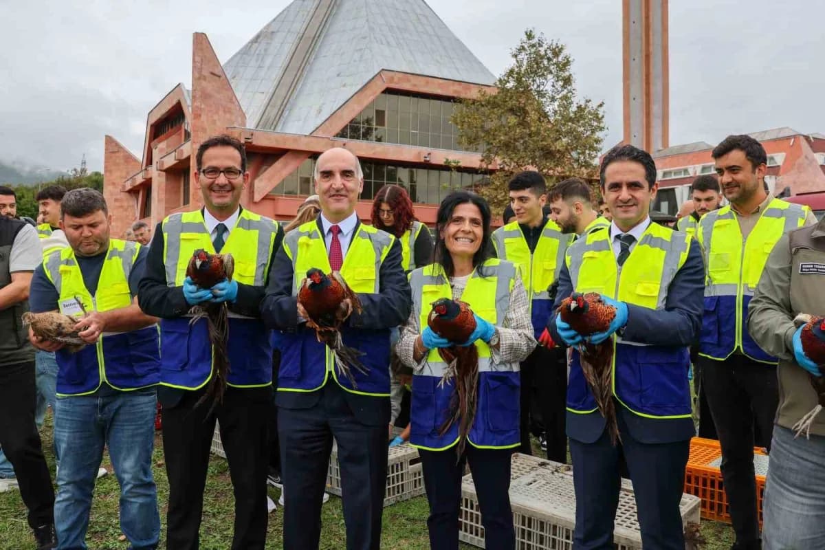 Ondokuz Mayıs Üniversitesi Kurupelit Kampüsünde doğaya salınan sülünler ve etkinlik katılımcıları