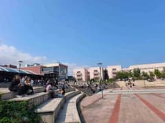 Ondokuz Mayıs Üniversitesi kampüsünde öğrenciler yeni akademik yılın başlamasıyla dersliklere yöneliyor