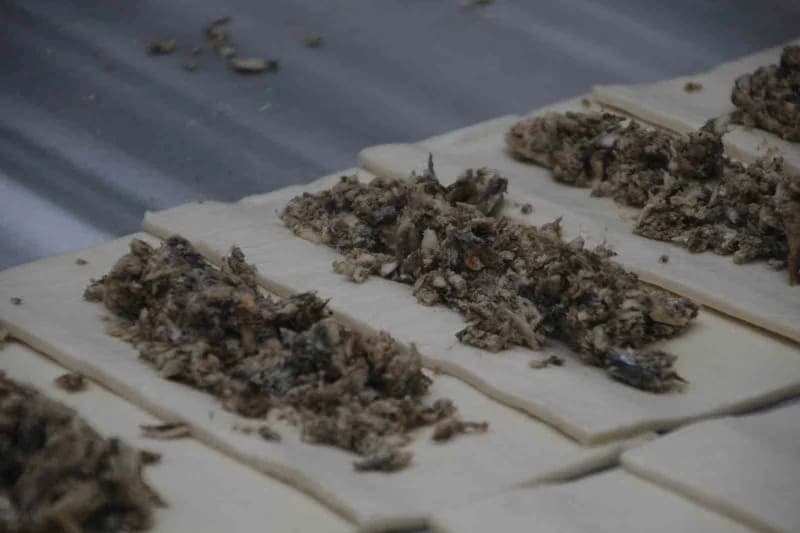 Simit hamuru içerisine hamsi konulması