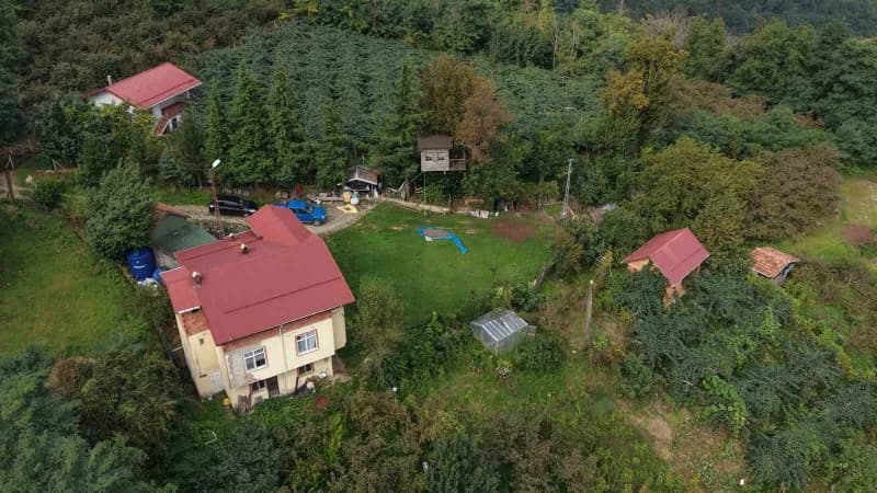 Evin olduğu mahalle