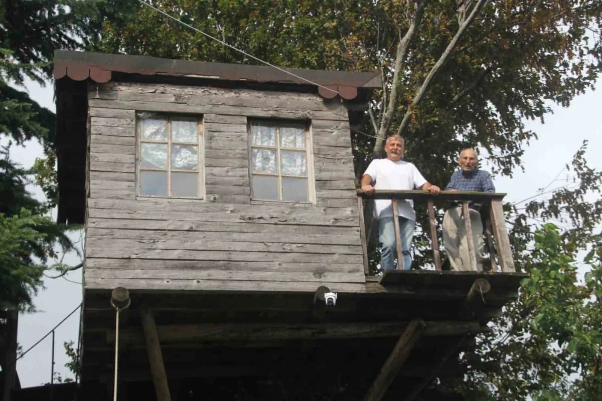 Ağaç üzerindeki evin balkonu