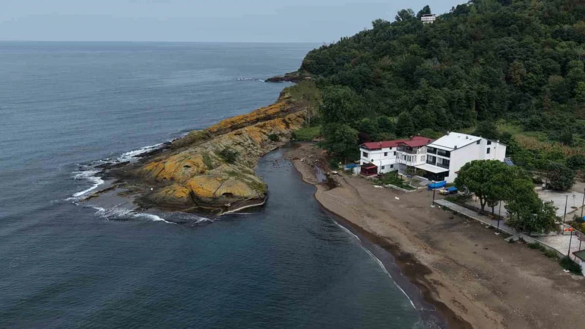 Ada, doğru açıdan bakınca timsaha benziyor