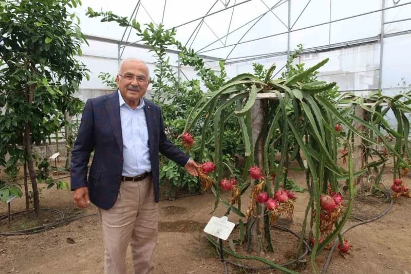 ORDU Büyükşehir Belediye Başkanı Dr. Mehmet Hilmi Güler, serada yürütülen çalışmaları yerinde inceleyerek üretim hakkınd