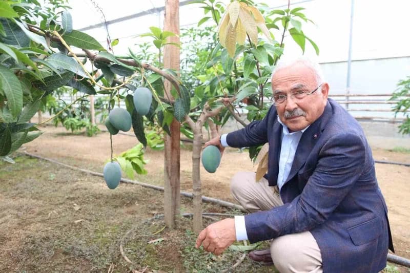 ORDU Büyükşehir Belediye Başkanı Dr. Mehmet Hilmi Güler, serada yürütülen çalışmaları yerinde inceleyerek üretim hakkınd