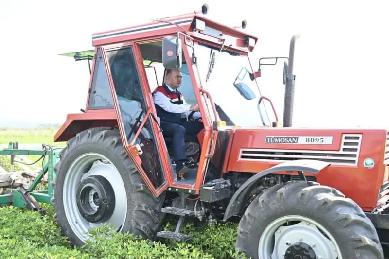 Osmaniye’de yer fıstığı hasadı başladı: 50 bin ton rekolte bekleniyor