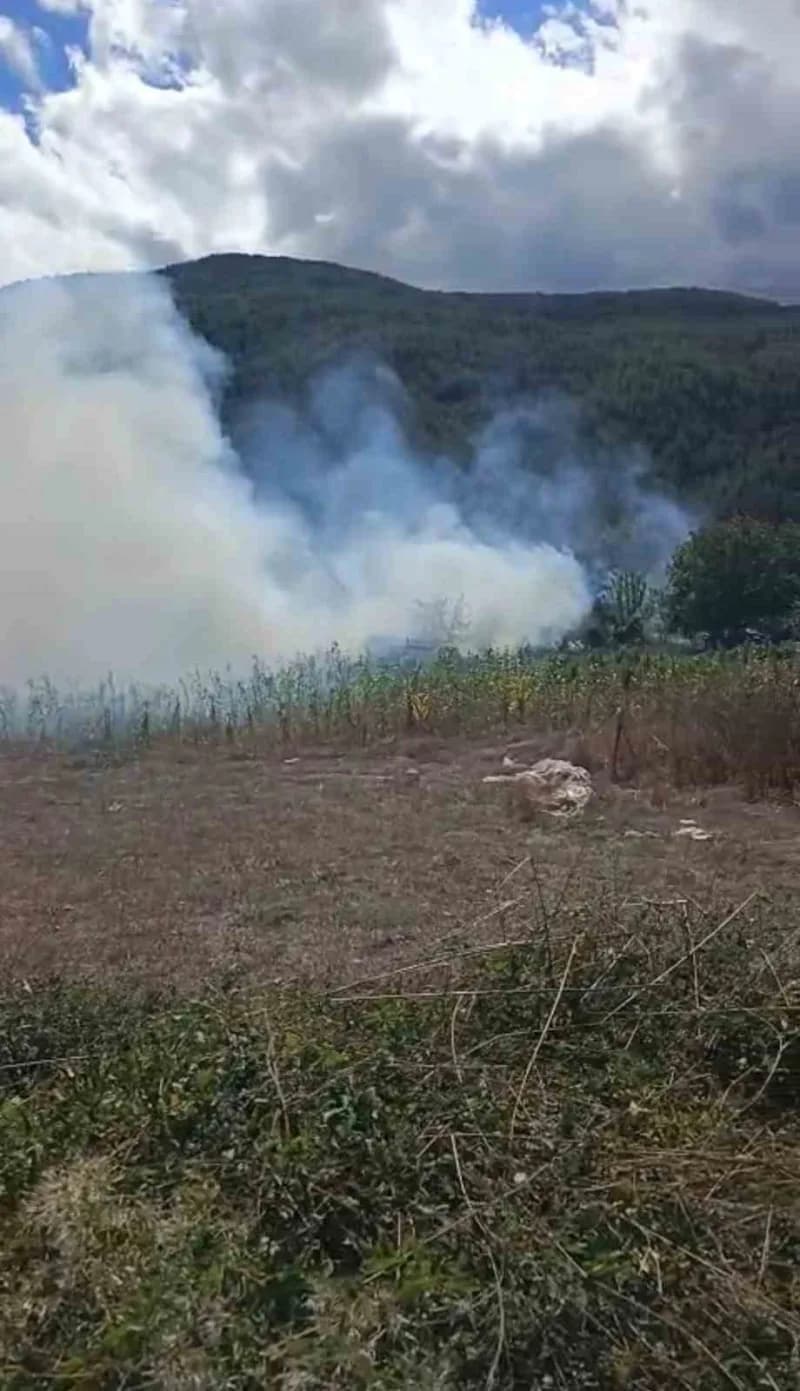 Karabük'ün Safranbolu ilçesinde çıkan ot yangınında alevlerin sıçradığı baraka tamamen yanarak kullanılamaz hale geldi.