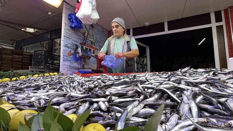Karadeniz'de av yasağının kalkmasıyla yaşanan balık bereketi Bolu'da tezgahlara yansıdı. Tanesi 125 TL'den satılan palam