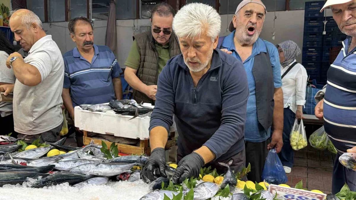 Karadeniz'de av yasağının kalkmasıyla yaşanan balık bereketi Bolu'da tezgahlara yansıdı. Tanesi 125 TL'den satılan palam