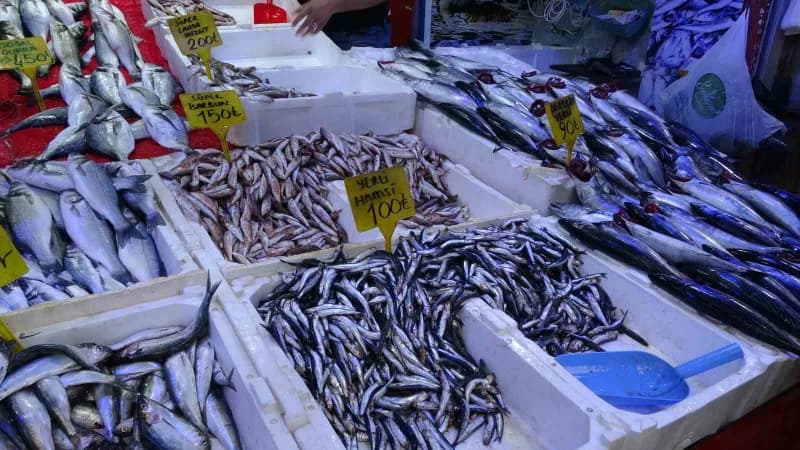 Samsun’da kiloluk palamutların adedi 90 TL’den satılıyor. Vatandaşlar ucuz balık almak için birbiriyle yarışırken, balık