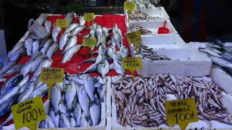 Samsun’da kiloluk palamutların adedi 90 TL’den satılıyor. Vatandaşlar ucuz balık almak için birbiriyle yarışırken, balık