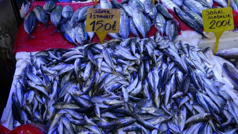 Samsun’da kiloluk palamutların adedi 90 TL’den satılıyor. Vatandaşlar ucuz balık almak için birbiriyle yarışırken, balık