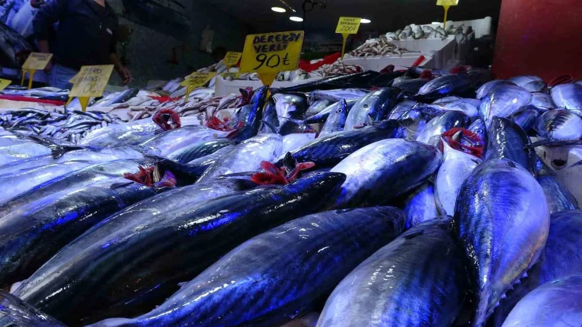 Samsun’da kiloluk palamutların adedi 90 TL’den satılıyor. Vatandaşlar ucuz balık almak için birbiriyle yarışırken, balık