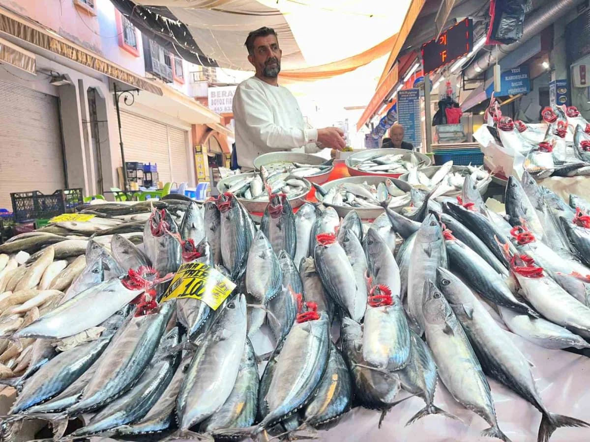 İzmir balık pazarında tezgahlar palamut balığı ile dolu, vatandaşlar balık alışverişi yapıyor