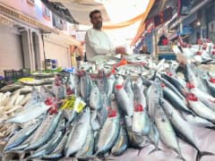 İzmir balık pazarında tezgahlar palamut balığı ile dolu, vatandaşlar balık alışverişi yapıyor