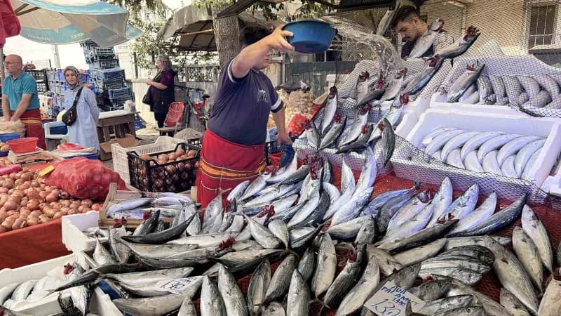 Kırklareli’nde balıkçılık yapan Baran Eğer, palamudun tanesini 100-130 TL arasında sattıklarını belirterek, "1 kilo kıym