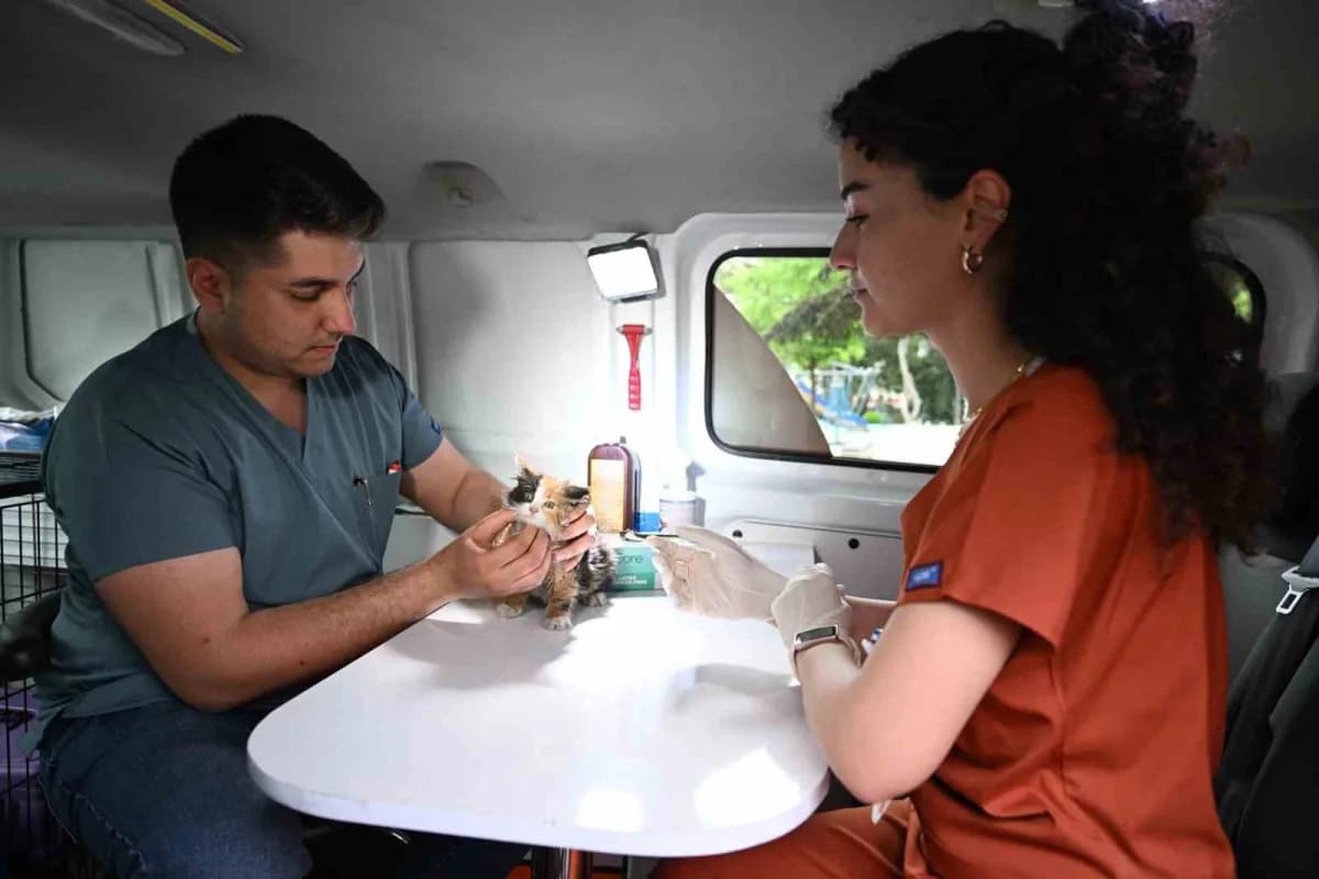 Yıldırım Belediyesi PATİVET aracı sahipsiz sokak hayvanlarına sağlık hizmeti sunuyor