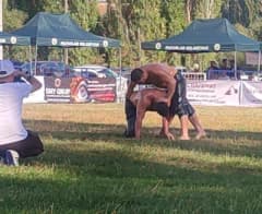 Kütahya Pazarlar’da düzenlenen 1. Yağlı Güreşleri’nde er meydanında güreşen pehlivanlar ve başpehlivan Osman Kan